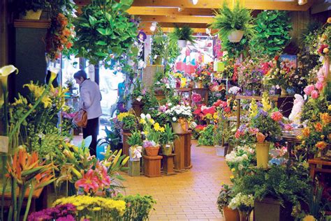 phillips flowers hinsdale|phillips flowers warehouse westmont il.